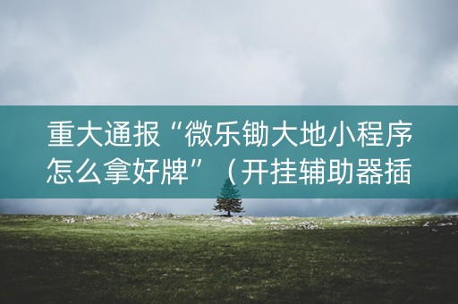 重大通报“微乐锄大地小程序怎么拿好牌”（开挂辅助器插件)