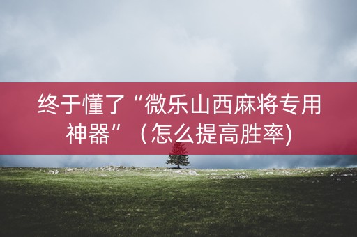终于懂了“微乐山西麻将专用神器”（怎么提高胜率)