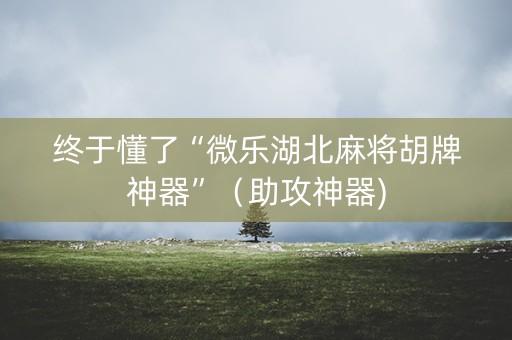 终于懂了“微乐湖北麻将胡牌神器”（助攻神器)