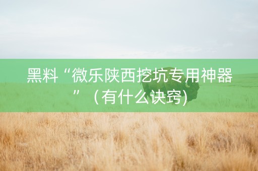 黑料“微乐陕西挖坑专用神器”（有什么诀窍)