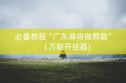 必备教程“广东麻将做弊器”（万能开挂器)
