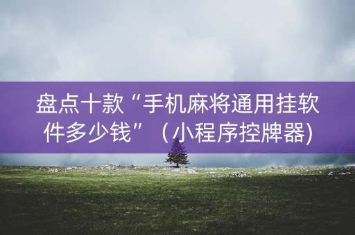 盘点十款“手机麻将通用挂软件多少钱”（小程序控牌器)