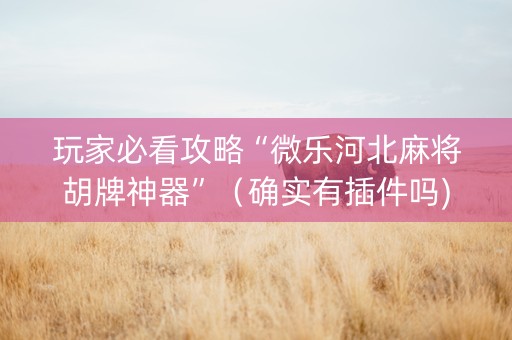 玩家必看攻略“微乐河北麻将胡牌神器”（确实有插件吗)