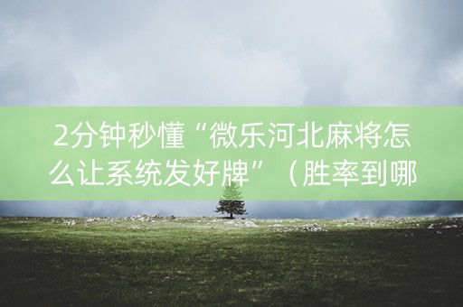 2分钟秒懂“微乐河北麻将怎么让系统发好牌”（胜率到哪调)