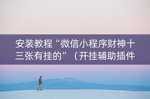 安装教程“微信小程序财神十三张有挂的”（开挂辅助插件)