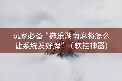 玩家必备“微乐湖南麻将怎么让系统发好牌”（软挂神器)