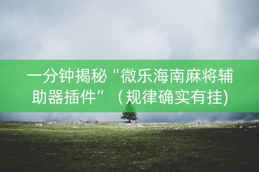 一分钟揭秘“微乐海南麻将辅助器插件”（规律确实有挂)