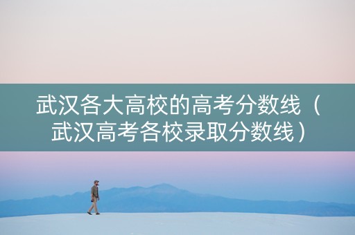 武汉各大高校的高考分数线（武汉高考各校录取分数线）