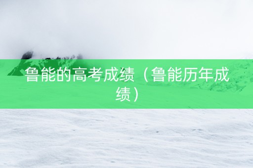 鲁能的高考成绩（鲁能历年成绩）