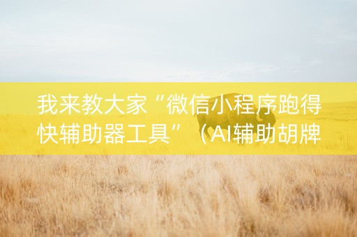我来教大家“微信小程序跑得快辅助器工具”（AI辅助胡牌规则)