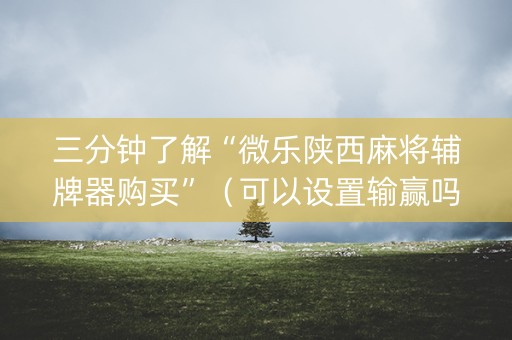 三分钟了解“微乐陕西麻将辅牌器购买”（可以设置输赢吗)