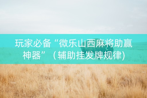 玩家必备“微乐山西麻将助赢神器”（辅助挂发牌规律)