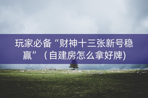玩家必备“财神十三张新号稳赢”（自建房怎么拿好牌)