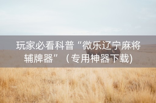 玩家必看科普“微乐辽宁麻将辅牌器”（专用神器下载)