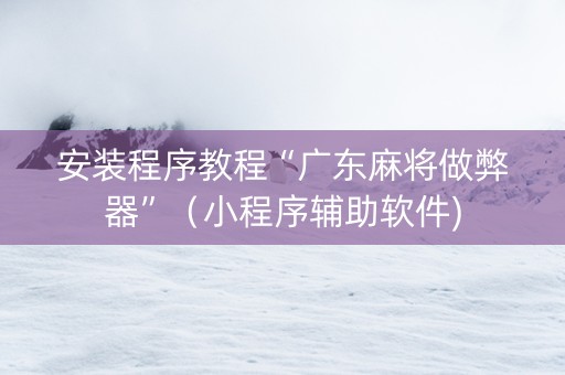 安装程序教程“广东麻将做弊器”（小程序辅助软件)