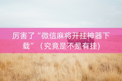 厉害了“微信麻将开挂神器下载”（究竟是不是有挂)