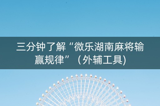 三分钟了解“微乐湖南麻将输赢规律”（外辅工具)