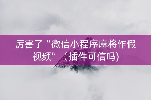 厉害了“微信小程序麻将作假视频”（插件可信吗)