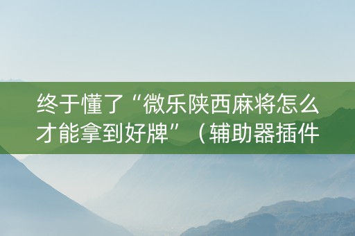 终于懂了“微乐陕西麻将怎么才能拿到好牌”（辅助器插件)