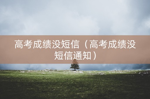 高考成绩没短信（高考成绩没短信通知）