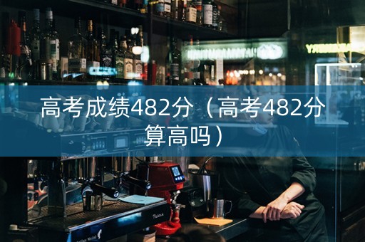 高考成绩482分（高考482分算高吗）