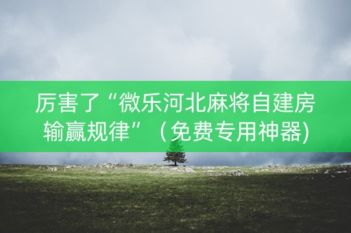 厉害了“微乐河北麻将自建房输赢规律”（免费专用神器)