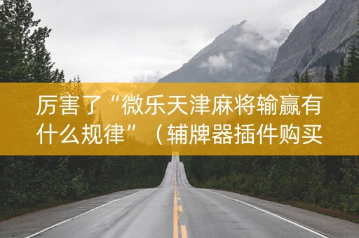 厉害了“微乐天津麻将输赢有什么规律”（辅牌器插件购买)