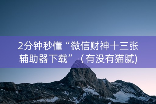 2分钟秒懂“微信财神十三张辅助器下载”（有没有猫腻)