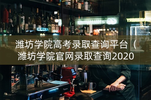 潍坊学院高考录取查询平台（潍坊学院官网录取查询2020）