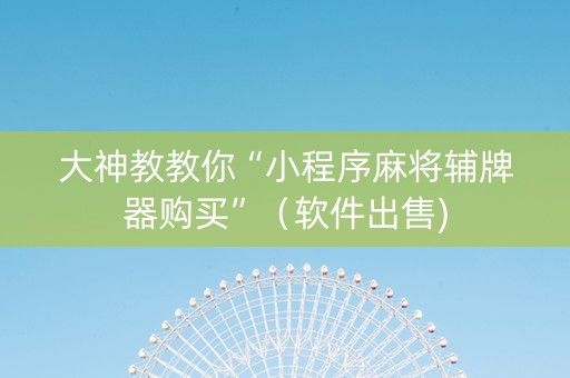大神教教你“小程序麻将辅牌器购买”（软件出售)
