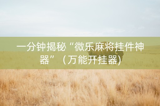 一分钟揭秘“微乐麻将挂件神器”（万能开挂器)