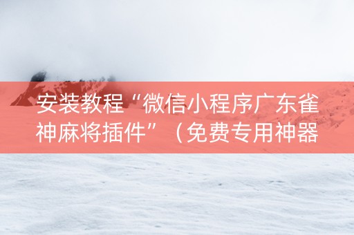 安装教程“微信小程序广东雀神麻将插件”（免费专用神器)
