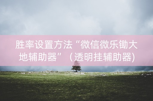 胜率设置方法“微信微乐锄大地辅助器”（透明挂辅助器)