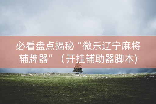 必看盘点揭秘“微乐辽宁麻将辅牌器”（开挂辅助器脚本)