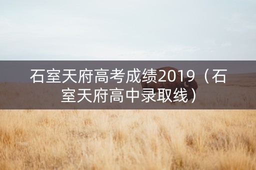 石室天府高考成绩2019（石室天府高中录取线）