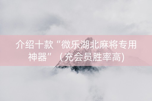 介绍十款“微乐湖北麻将专用神器”（充会员胜率高)