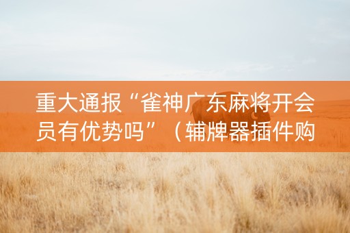 重大通报“雀神广东麻将开会员有优势吗”（辅牌器插件购买)