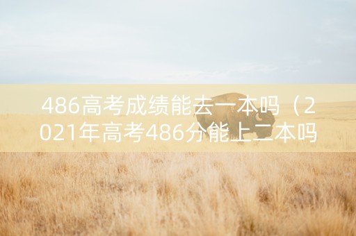 486高考成绩能去一本吗（2021年高考486分能上二本吗）