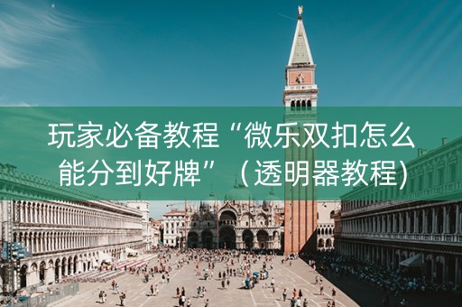 玩家必备教程“微乐双扣怎么能分到好牌”（透明器教程)