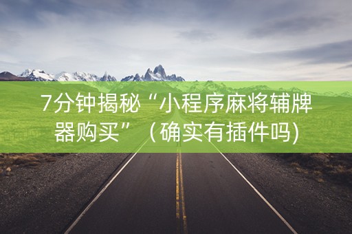 7分钟揭秘“小程序麻将辅牌器购买”（确实有插件吗)