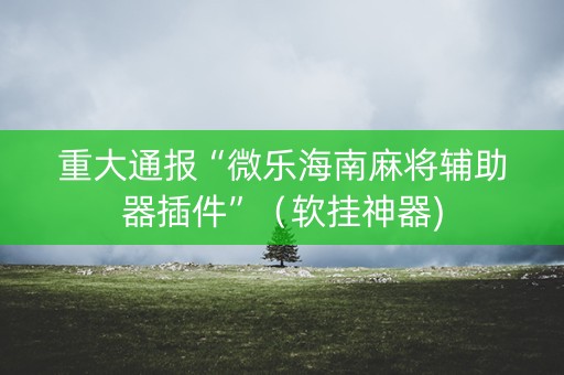 重大通报“微乐海南麻将辅助器插件”（软挂神器)