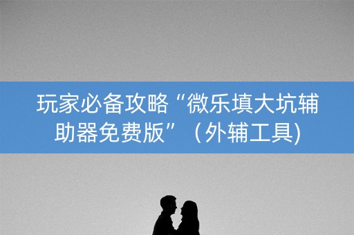 玩家必备攻略“微乐填大坑辅助器免费版”（外辅工具)