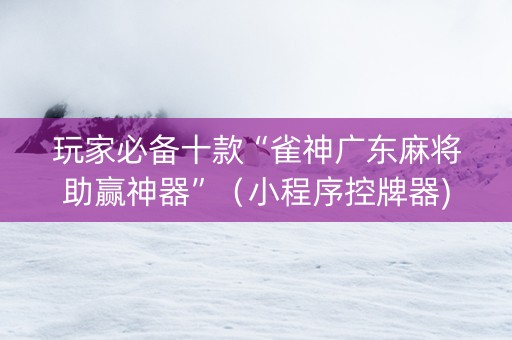 玩家必备十款“雀神广东麻将助赢神器”（小程序控牌器)