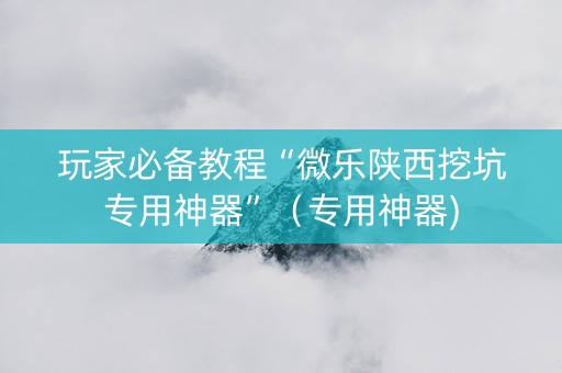 玩家必备教程“微乐陕西挖坑专用神器”（专用神器)