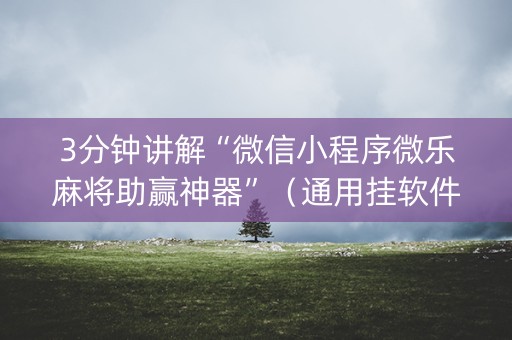 3分钟讲解“微信小程序微乐麻将助赢神器”（通用挂软件多少钱)