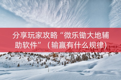 分享玩家攻略“微乐锄大地辅助软件”（输赢有什么规律)