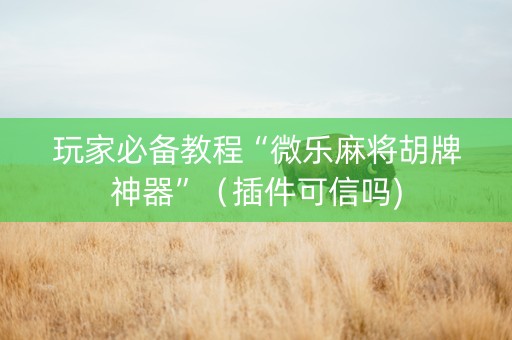 玩家必备教程“微乐麻将胡牌神器”（插件可信吗)