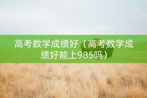 高考数学成绩好（高考数学成绩好能上985吗）