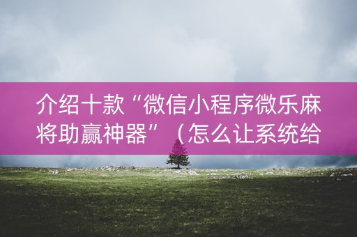 介绍十款“微信小程序微乐麻将助赢神器”（怎么让系统给你发好牌)