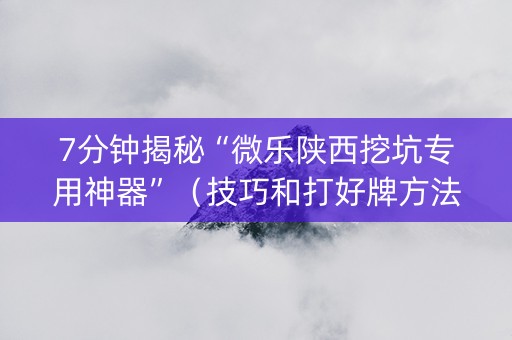 7分钟揭秘“微乐陕西挖坑专用神器”（技巧和打好牌方法)